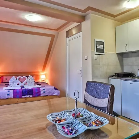 Rajski Bor Tara 3 Galerija * Kaludjerske Bare